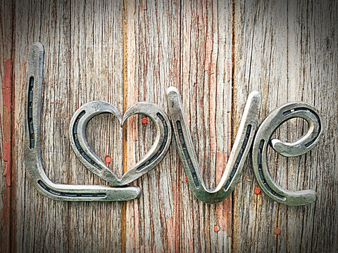 Horseshoe "Love" Wall Art